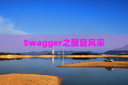 Swagger之醒目风采